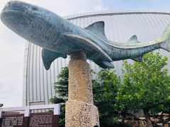 -烟台海昌鲸鲨海洋公园