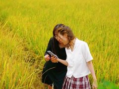 -赤坎古镇影视城