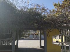 -西苑公园