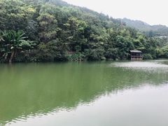 -洪崖丹井