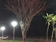 -钱大妈海鲜饭店(保利林语店)