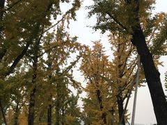 -百林公园-两江幸福广场