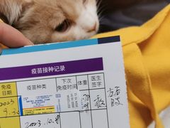 -美联众合动物医院·24h京西诊疗中心