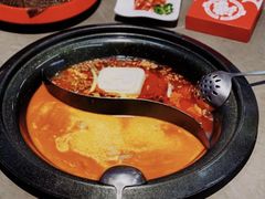 -生活如沸·顺德水牛奶火锅(大学路店)