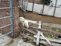 android_upload_pic-意大利农场度假村