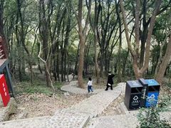 -上海佘山国家森林公园天马山园