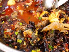 -黑竹香鸡(营和巷店)