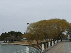 -贡湖湾湿地公园