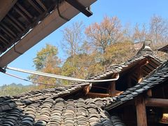 -苗湘食府(十年店)