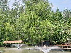 -溱湖国家湿地公园