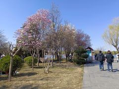 -洛阳市隋唐城遗址植物园