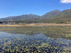 -腾冲北海湿地
