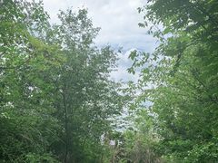 -桤木河湿地公园