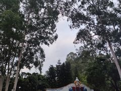 -广州长隆国际大马戏