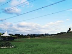 -紫颐香薰山谷景区