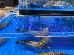 -永辉超市(通州万达店)