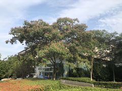 -江南大学(蠡湖校区)