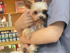 -帕帕拉兹宠物(亚洲旗舰店)