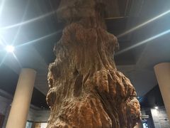 -乐山乌木文化博览苑