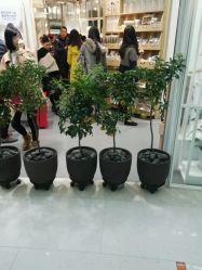 -悦诗风吟innisfree