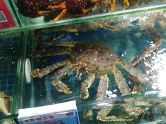 水产区-鸿港海鲜批发市场
