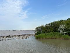 -上海吴淞炮台湾国家湿地公园