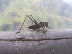 -重庆云阳龙缸景区