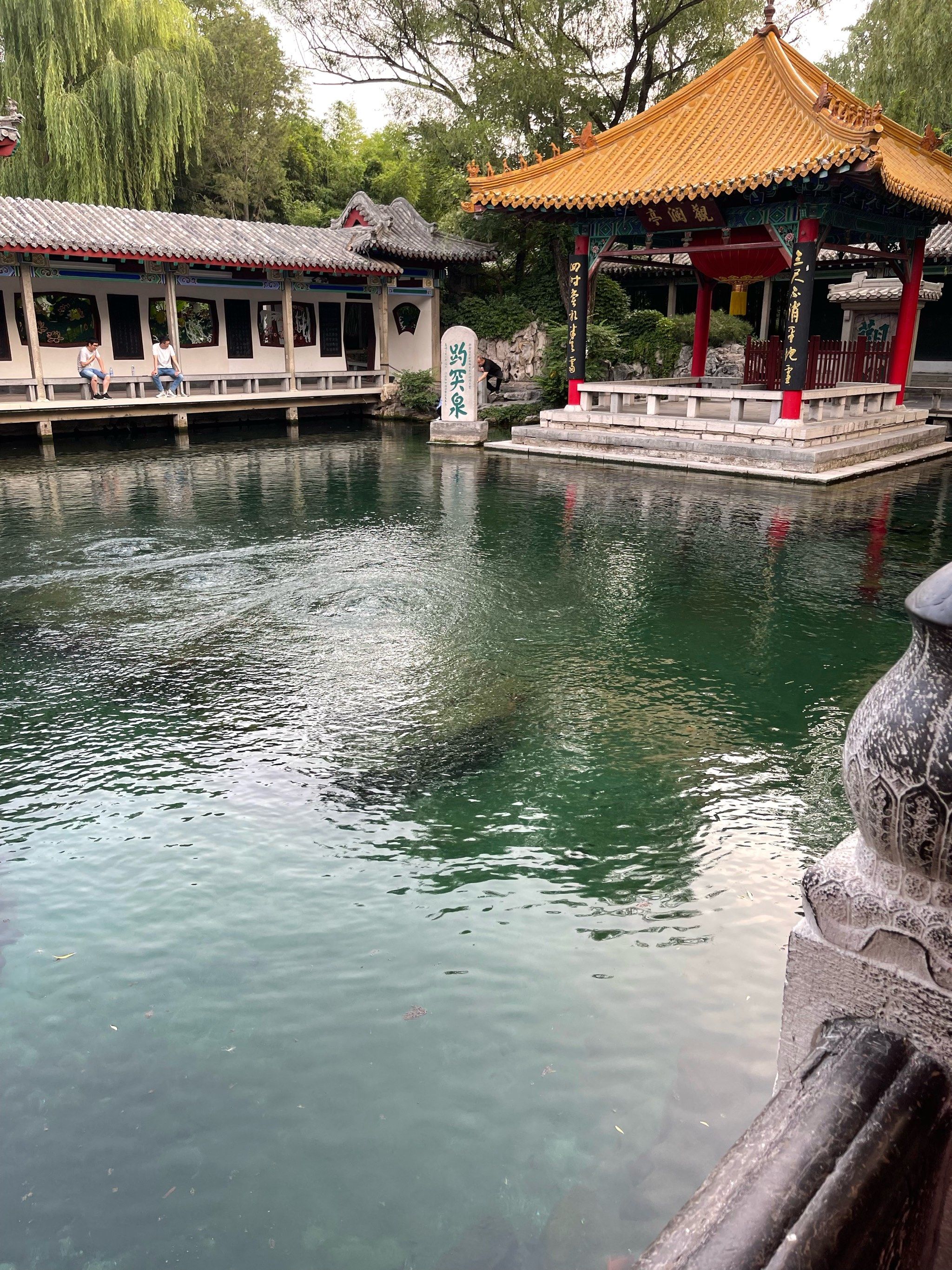 趵突泉游记