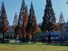 -宜兴龙背山森林公园