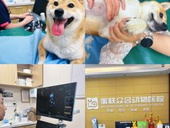 -美联众合爱康动物医院•复杂内科•肿瘤科•牙科•腔镜诊疗中心