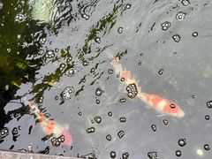 -长春观