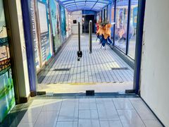 -SFC上影百联影城(大上海4DX店)