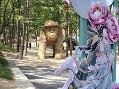 -洛阳白云山景区