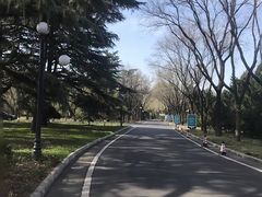 -南郊宾馆·风味自助餐厅·山东十六地市特色菜
