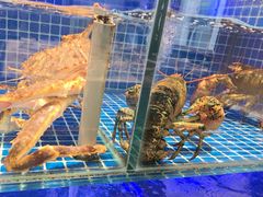 -明州小宴(文化广场店)