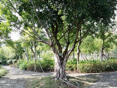 -厦门国家会计学院