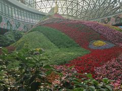 -花之城