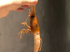 -麦秋寿司(富都广场店)