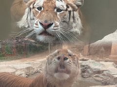 -杭州野生动物世界