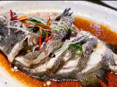 -莲花公园煎蟹(总店)