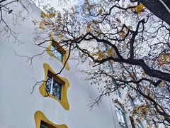 -三里屯东五街银杏大道