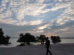 -宝安西湾红树林湿地公园