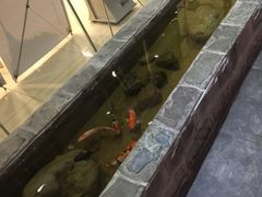 -湘与香缘·湖南菜(王府井北京市百货大楼店)