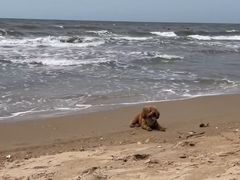 -老虎石海上公园