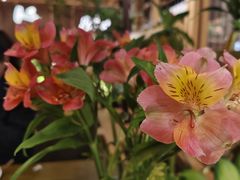 -一坐一忘云南菜(卓悦中心)