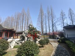 -吴兴寺