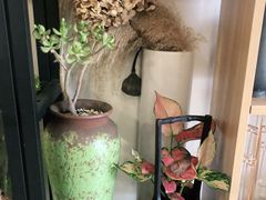 -FEI FEI FLOWER鲜花店·气球派对·宝宝宴布置(虹口德必运动Loft店)