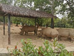 -西安秦岭野生动物园