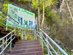 -峡谷浮石林景区