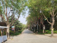 -南宫五洲植物乐园